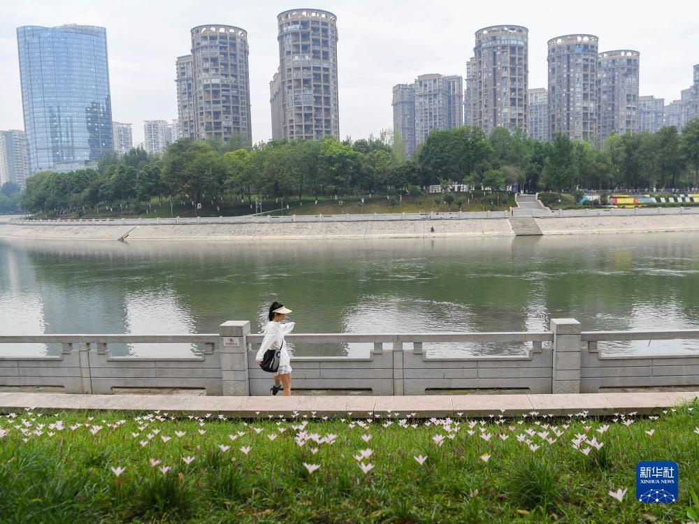 讯博国际是什么平台